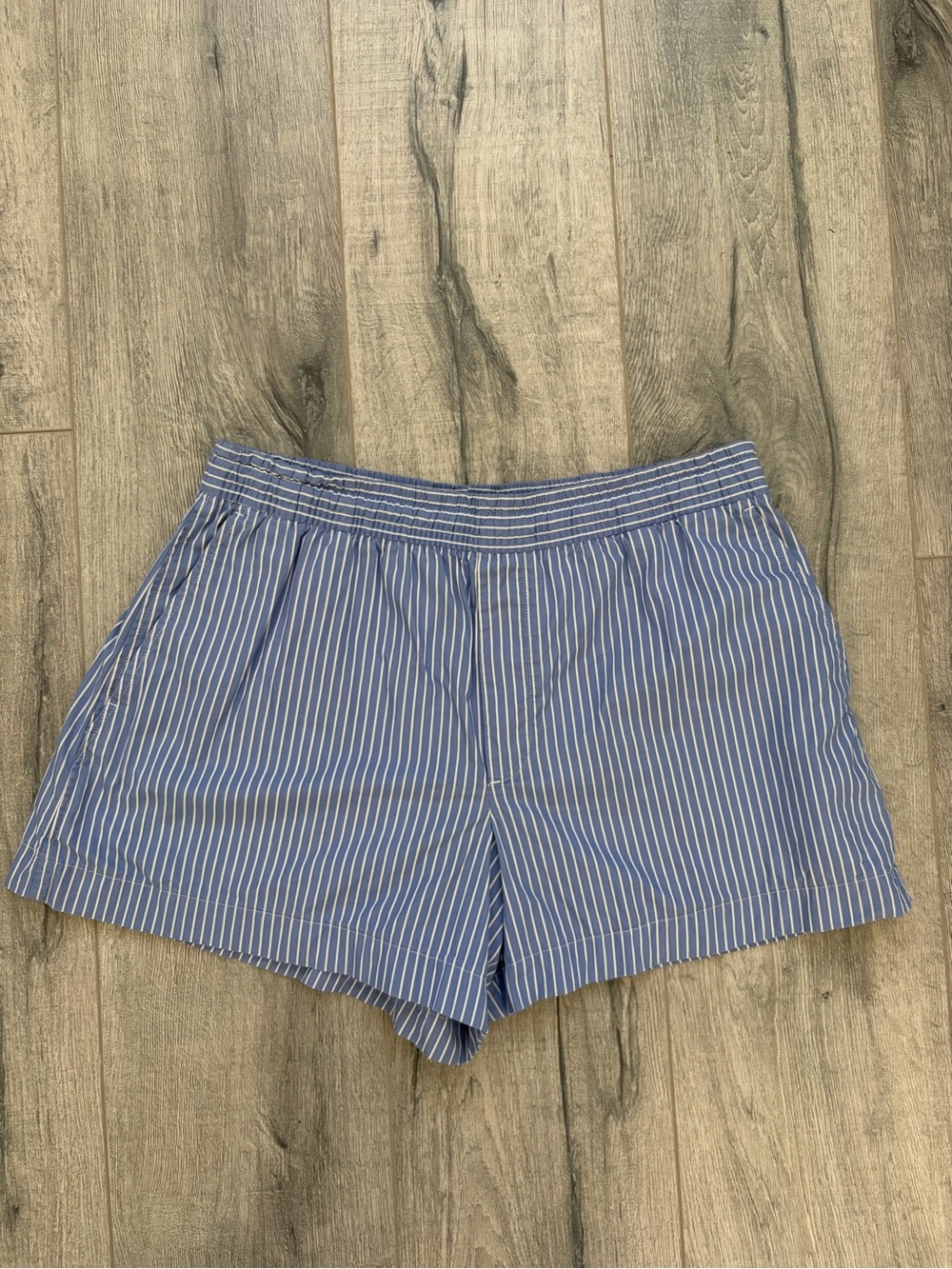 GAP Blue Stripe shorts
